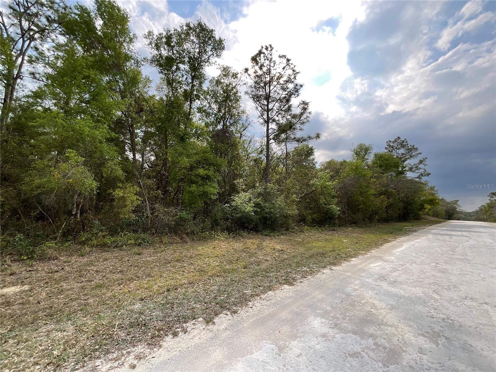 FORGE DR, WEBSTER, FL, 33597