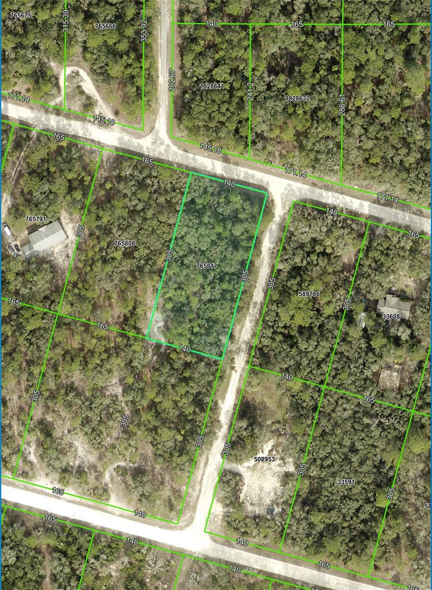 FORGE DR, WEBSTER, FL, 33597