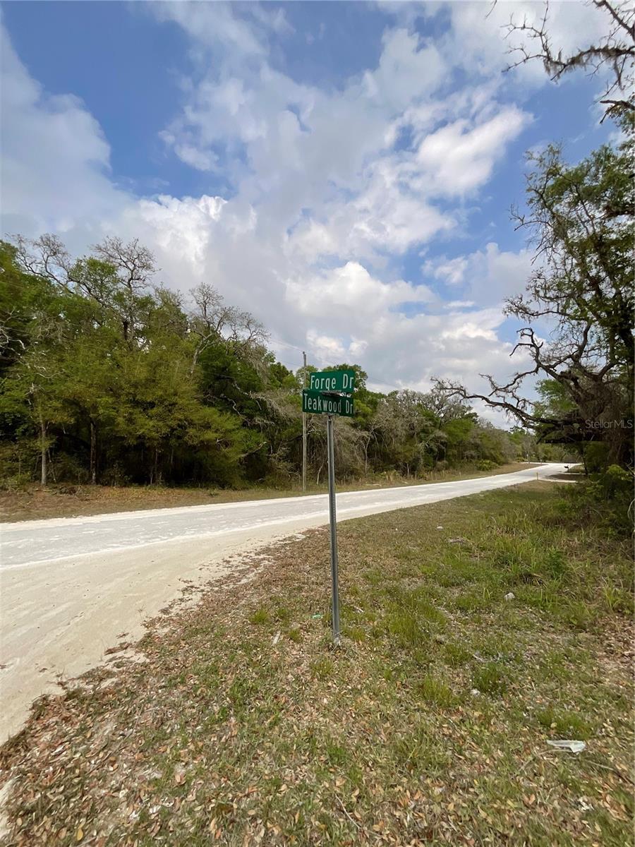 FORGE DR, WEBSTER, FL, 33597