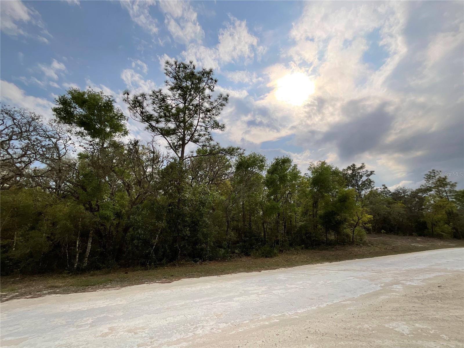 FORGE DR, WEBSTER, FL, 33597
