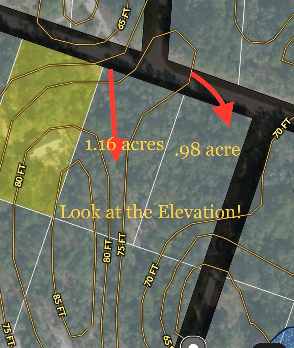 FORGE DR, WEBSTER, FL, 33597