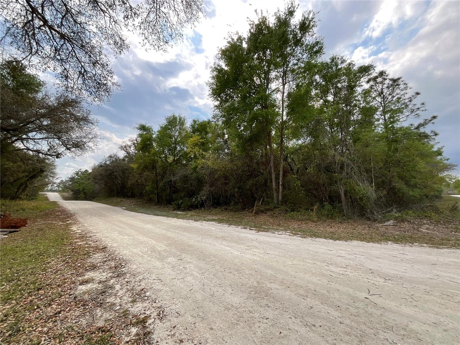 FORGE DR, WEBSTER, FL, 33597