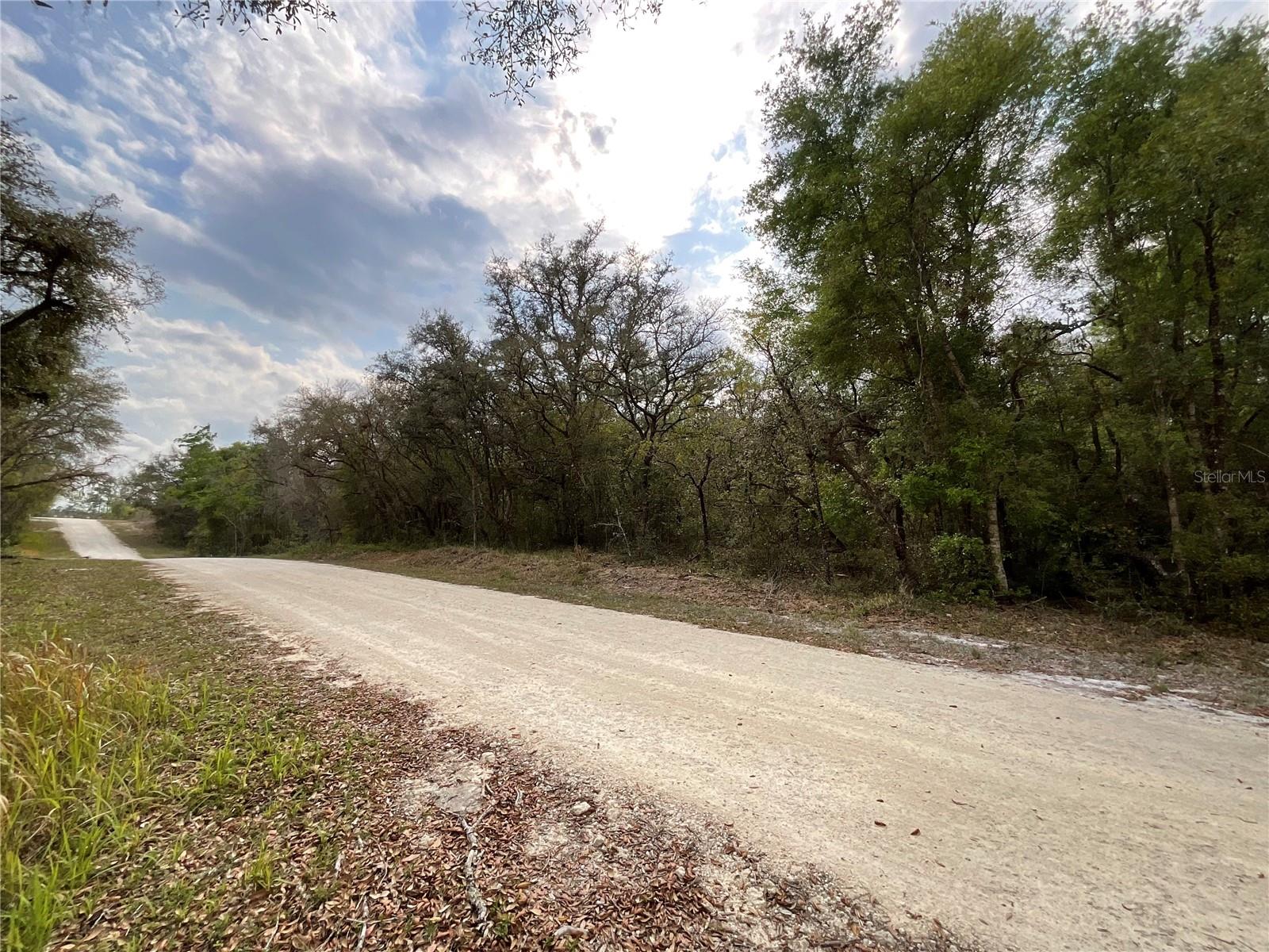 FORGE DR, WEBSTER, FL, 33597