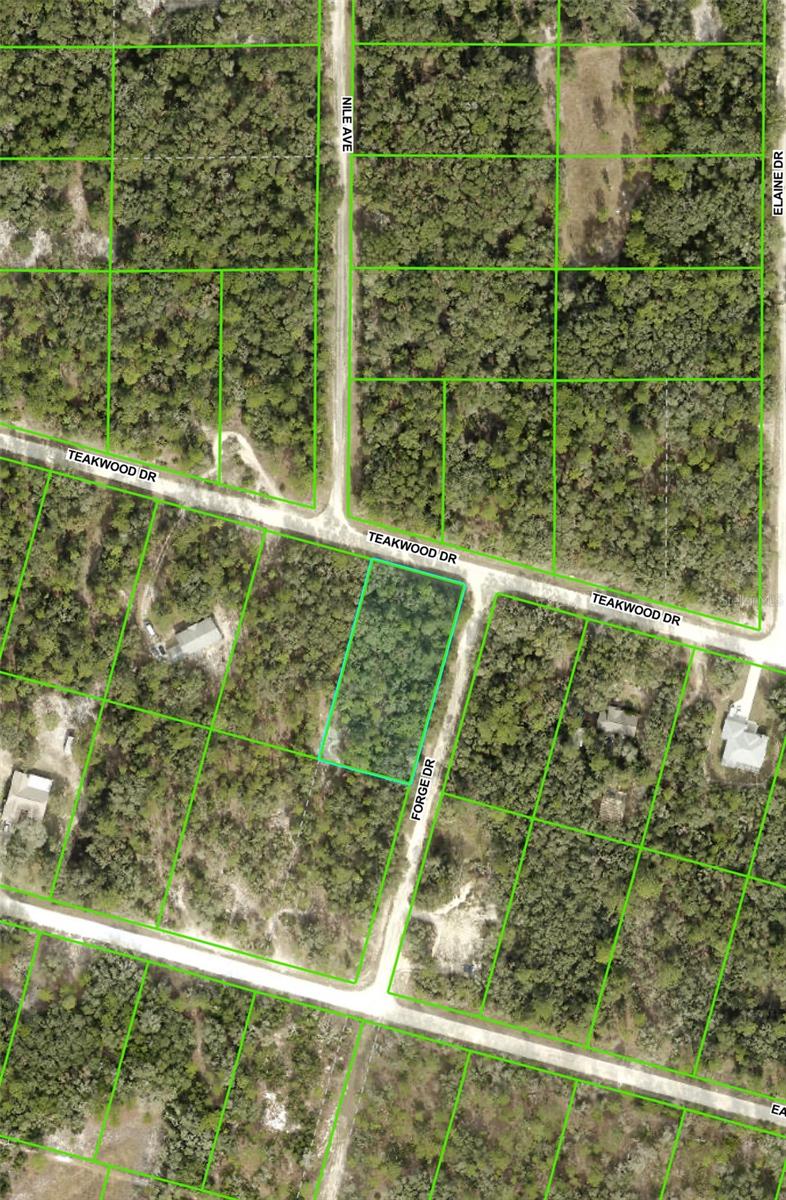FORGE DR, WEBSTER, FL, 33597