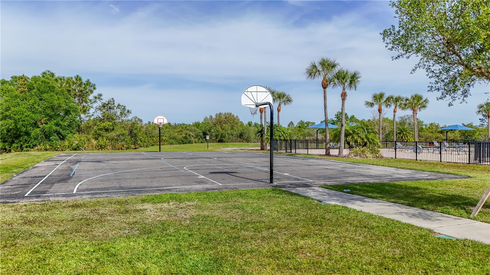 33459 FIELD MAPLE LOOP, WESLEY CHAPEL, FL, 33545