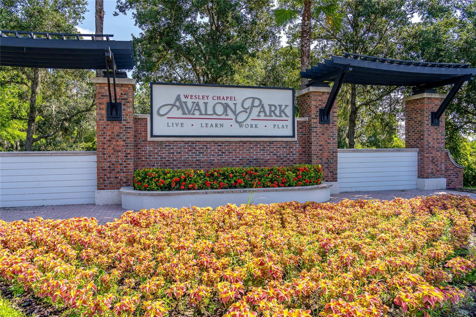 33459 FIELD MAPLE LOOP, WESLEY CHAPEL, FL, 33545