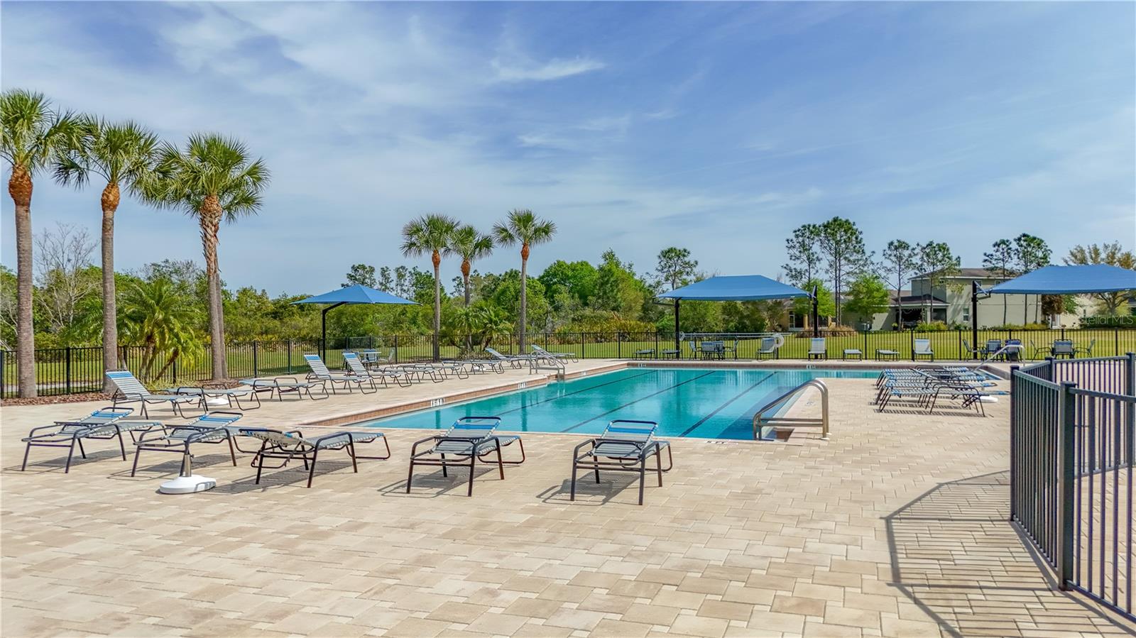 33459 FIELD MAPLE LOOP, WESLEY CHAPEL, FL, 33545