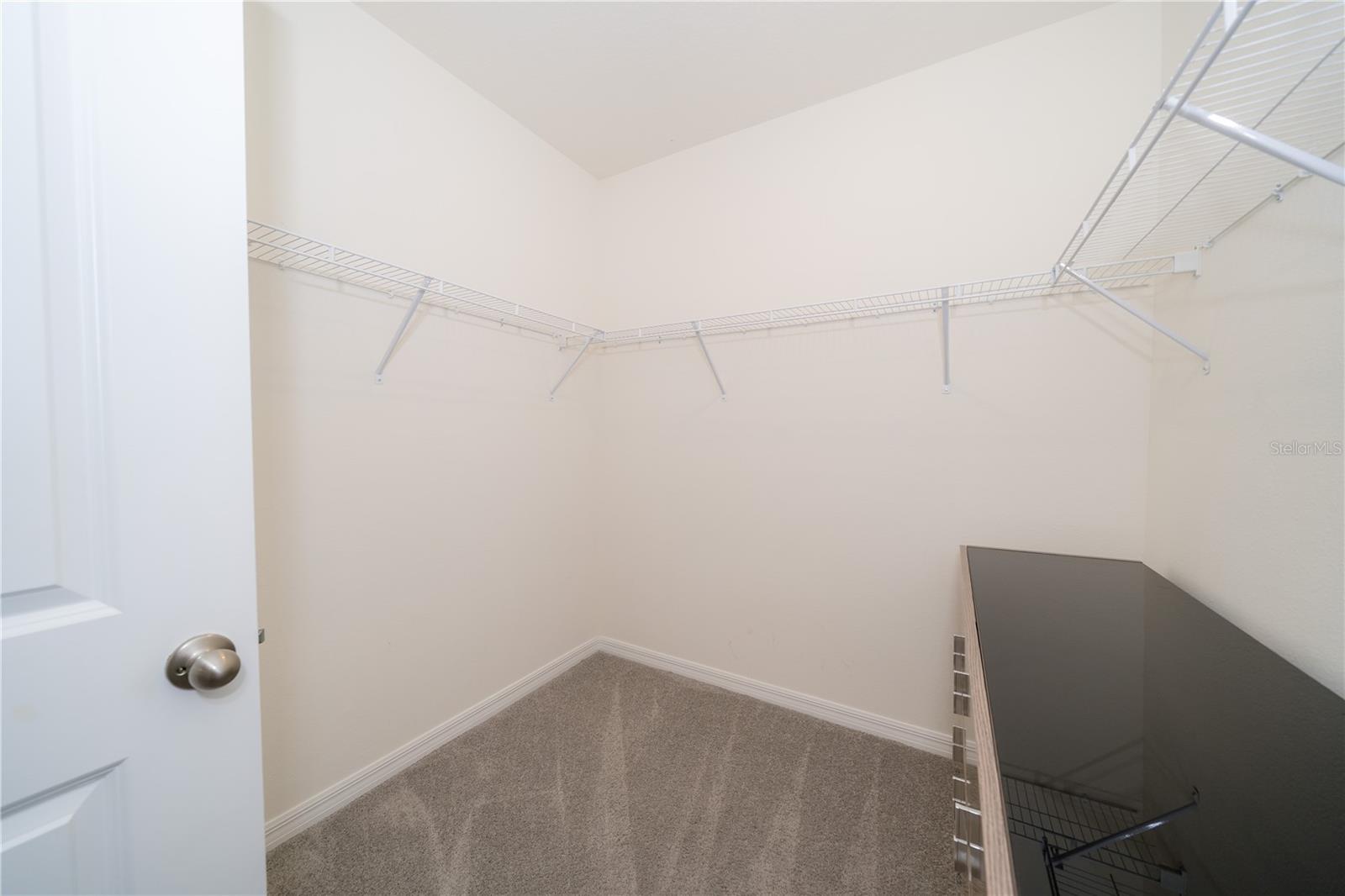 33459 FIELD MAPLE LOOP, WESLEY CHAPEL, FL, 33545