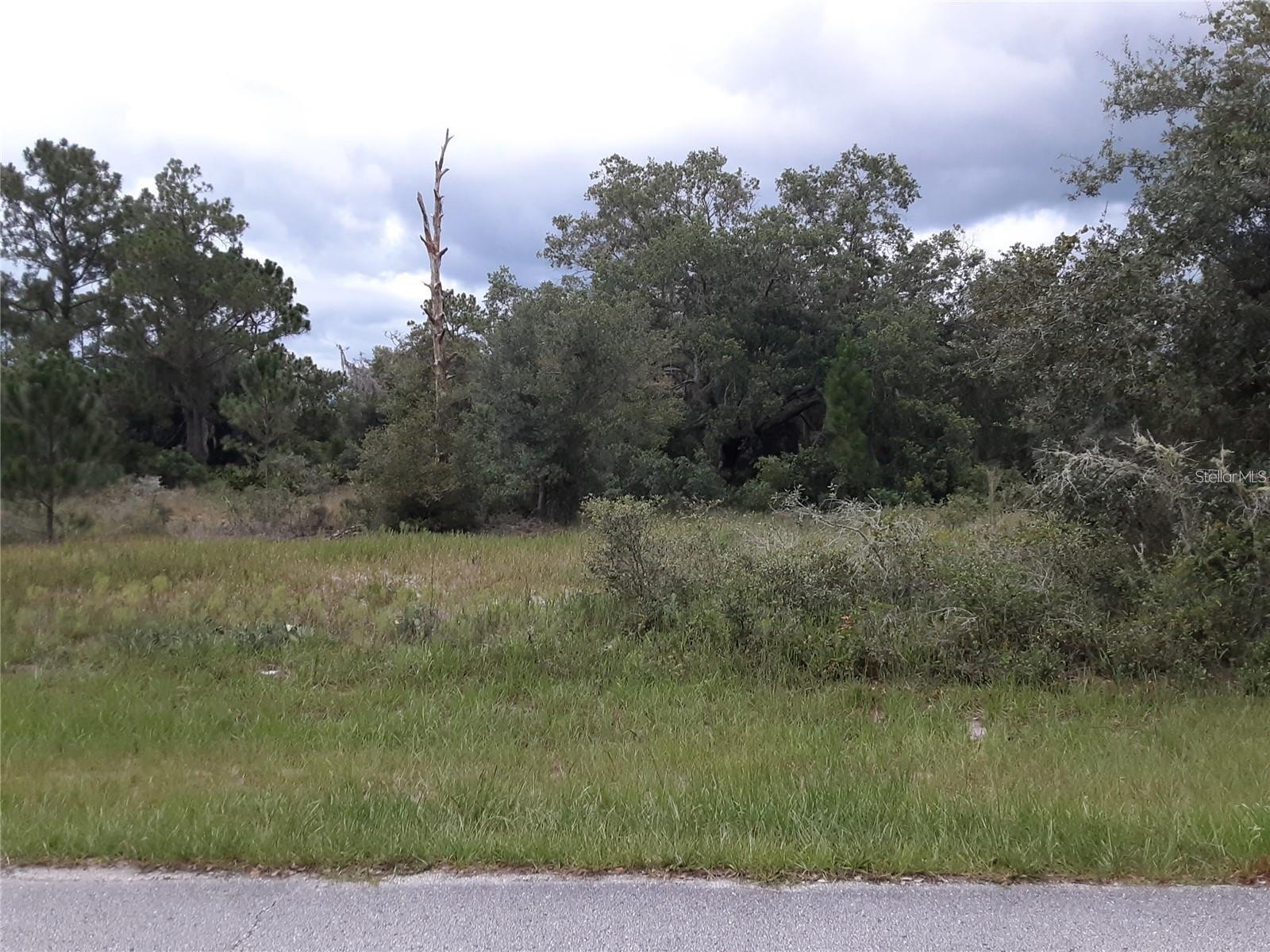 1202 VERNON WAY, KISSIMMEE, FL, 34759