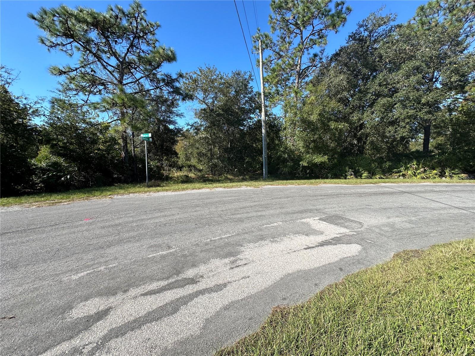 DICKERSON AVE, ORLANDO, FL, 32833