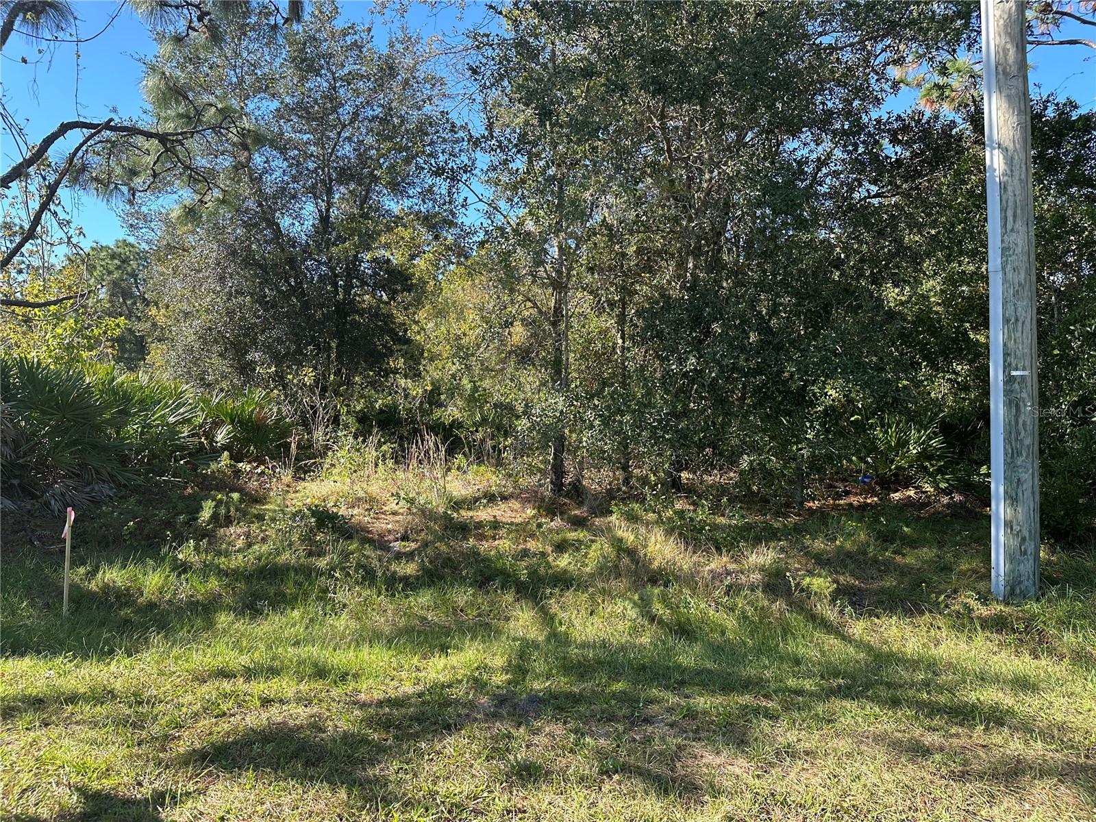 DICKERSON AVE, ORLANDO, FL, 32833