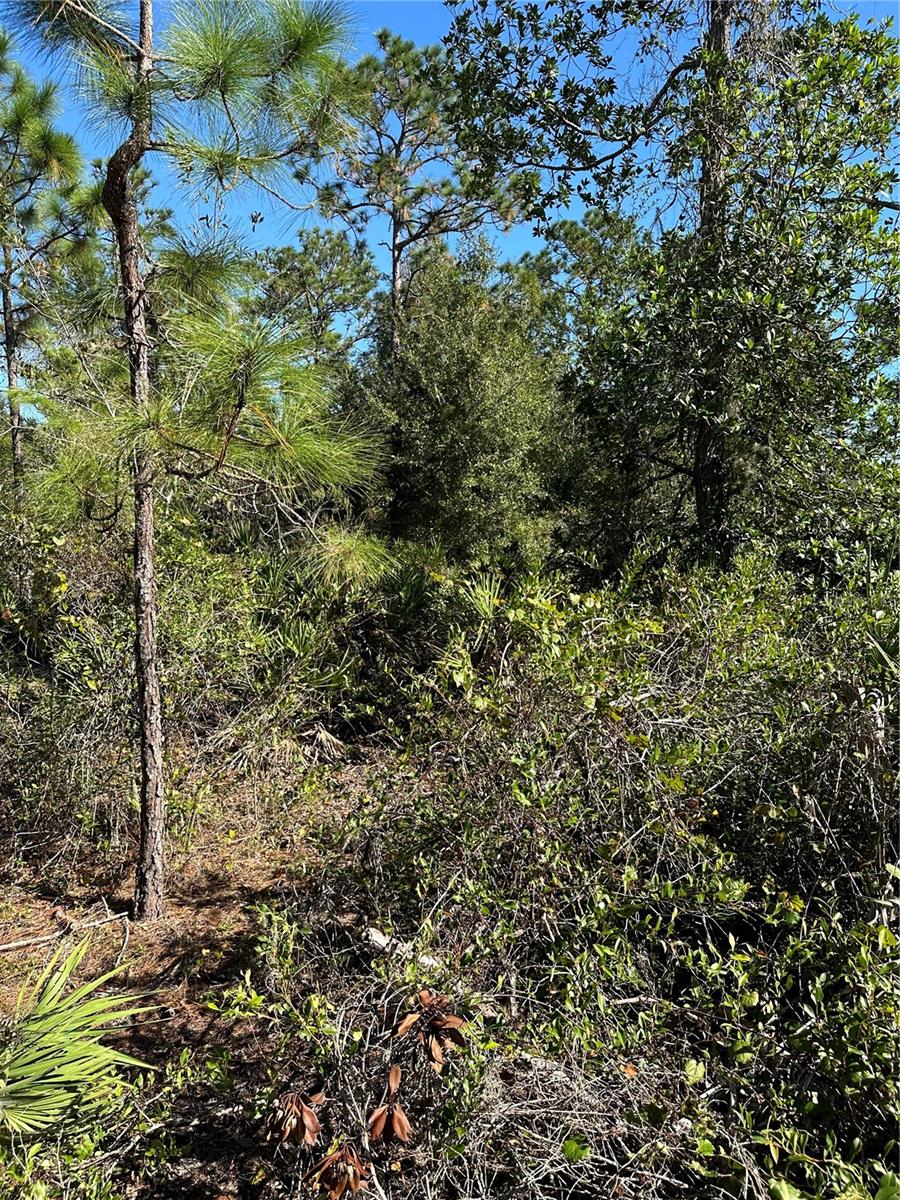 DICKERSON AVE, ORLANDO, FL, 32833