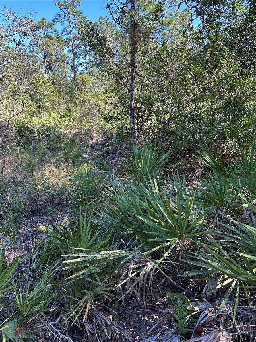 DICKERSON AVE, ORLANDO, FL, 32833