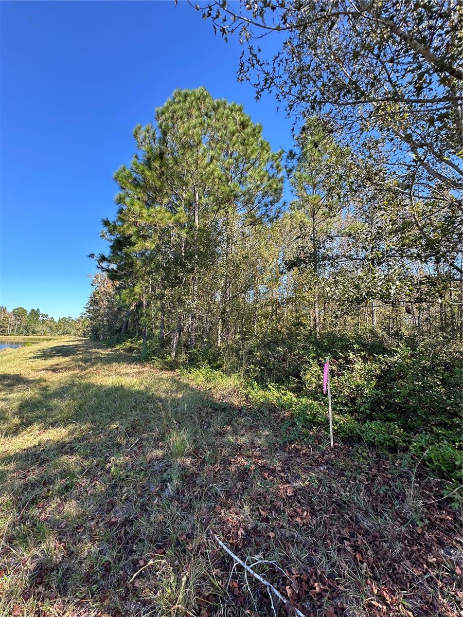 DICKERSON AVE, ORLANDO, FL, 32833