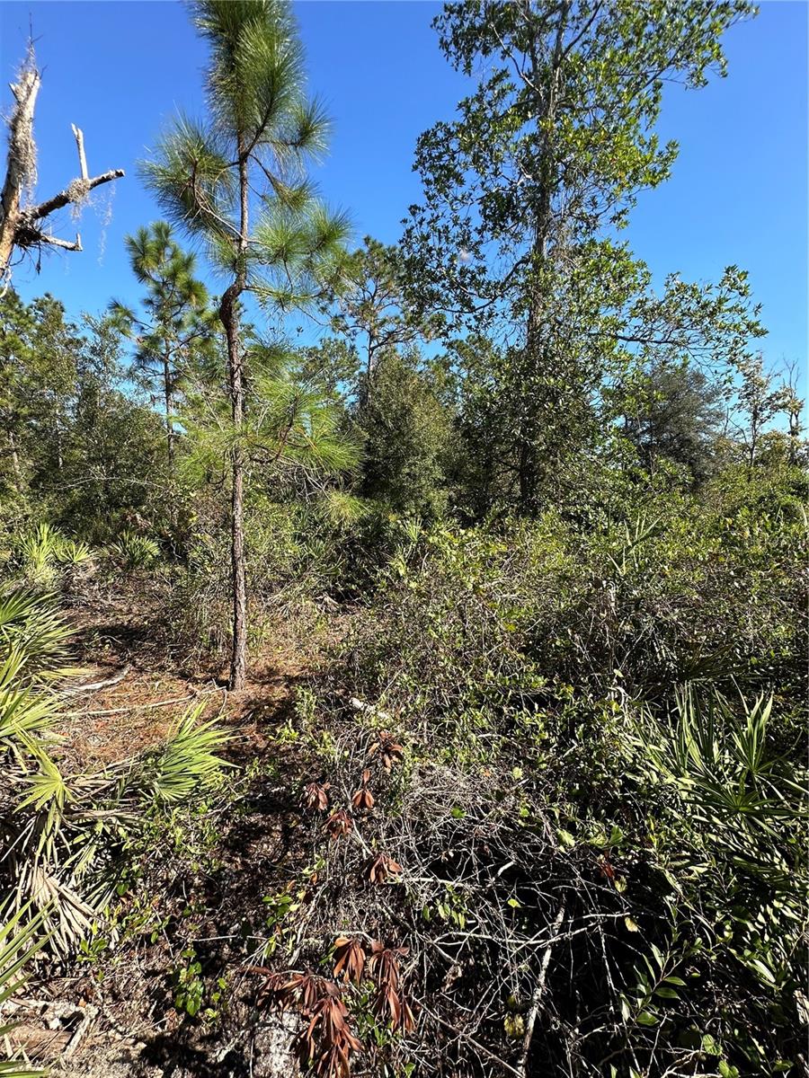 DICKERSON AVE, ORLANDO, FL, 32833