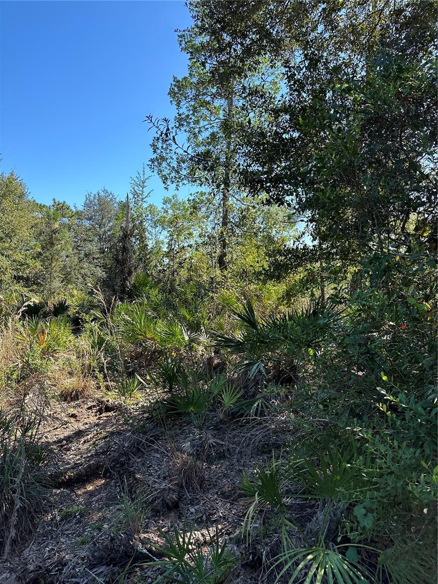 DICKERSON AVE, ORLANDO, FL, 32833