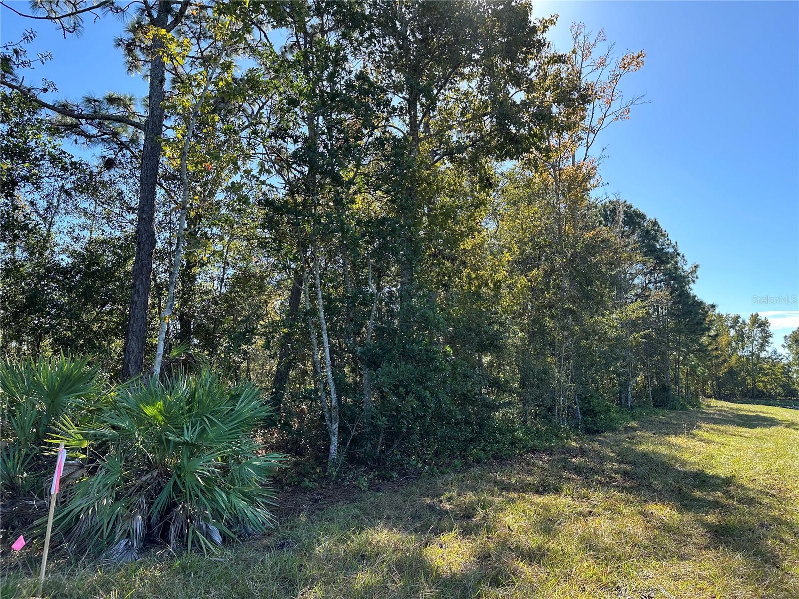 DICKERSON AVE, ORLANDO, FL, 32833