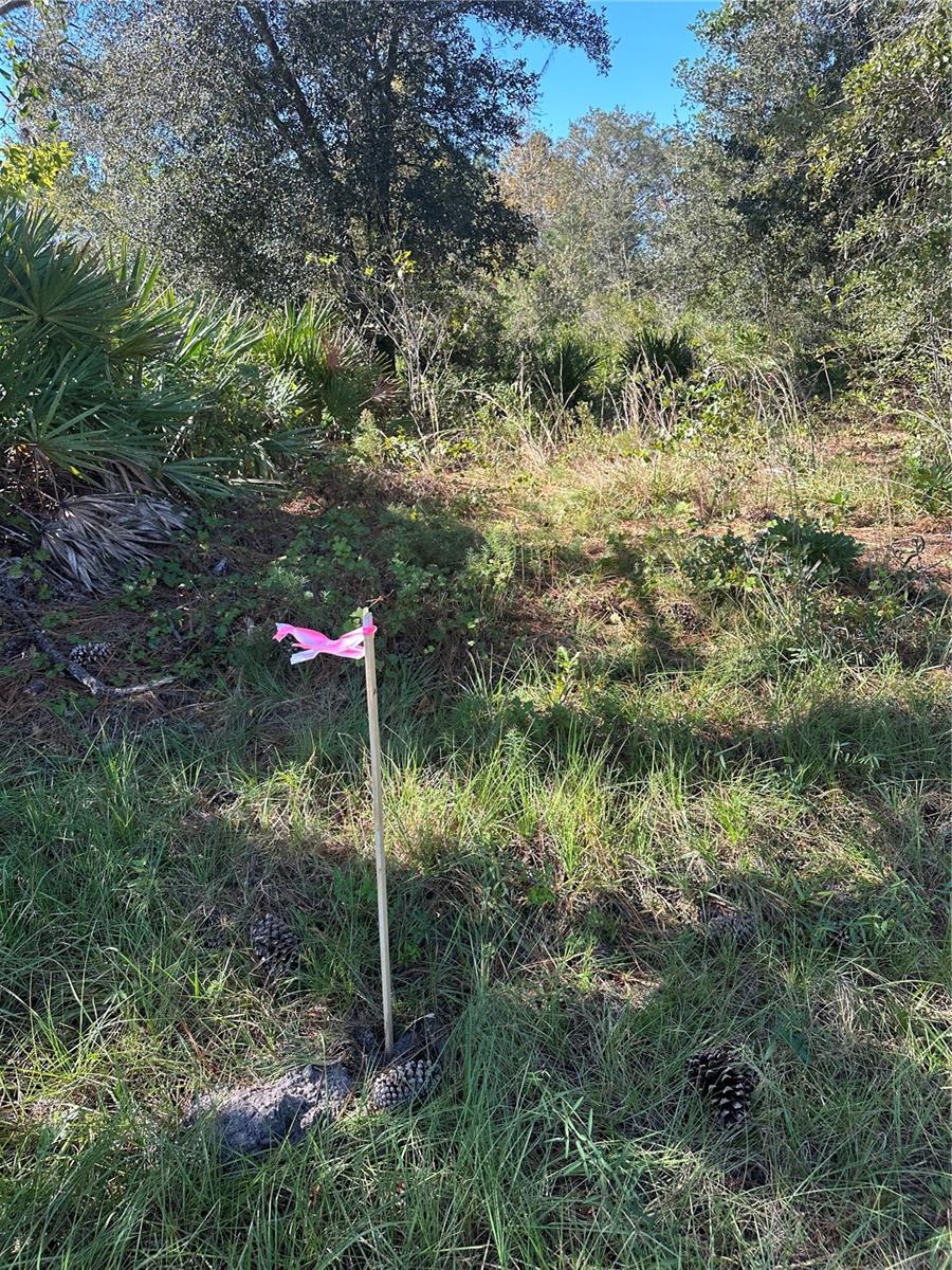 DICKERSON AVE, ORLANDO, FL, 32833