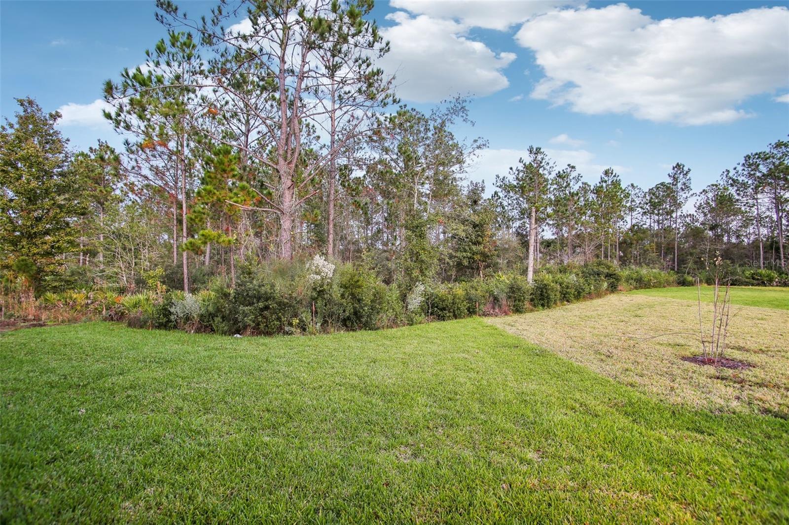 11330 TIBURON DR, JACKSONVILLE, FL, 32221