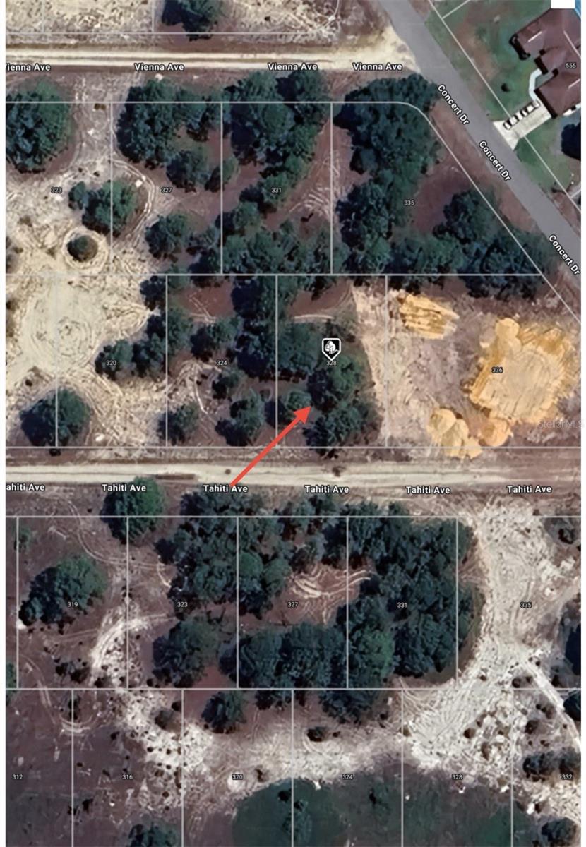 328 TAHITI AVE, LAKE PLACID, FL, 33852