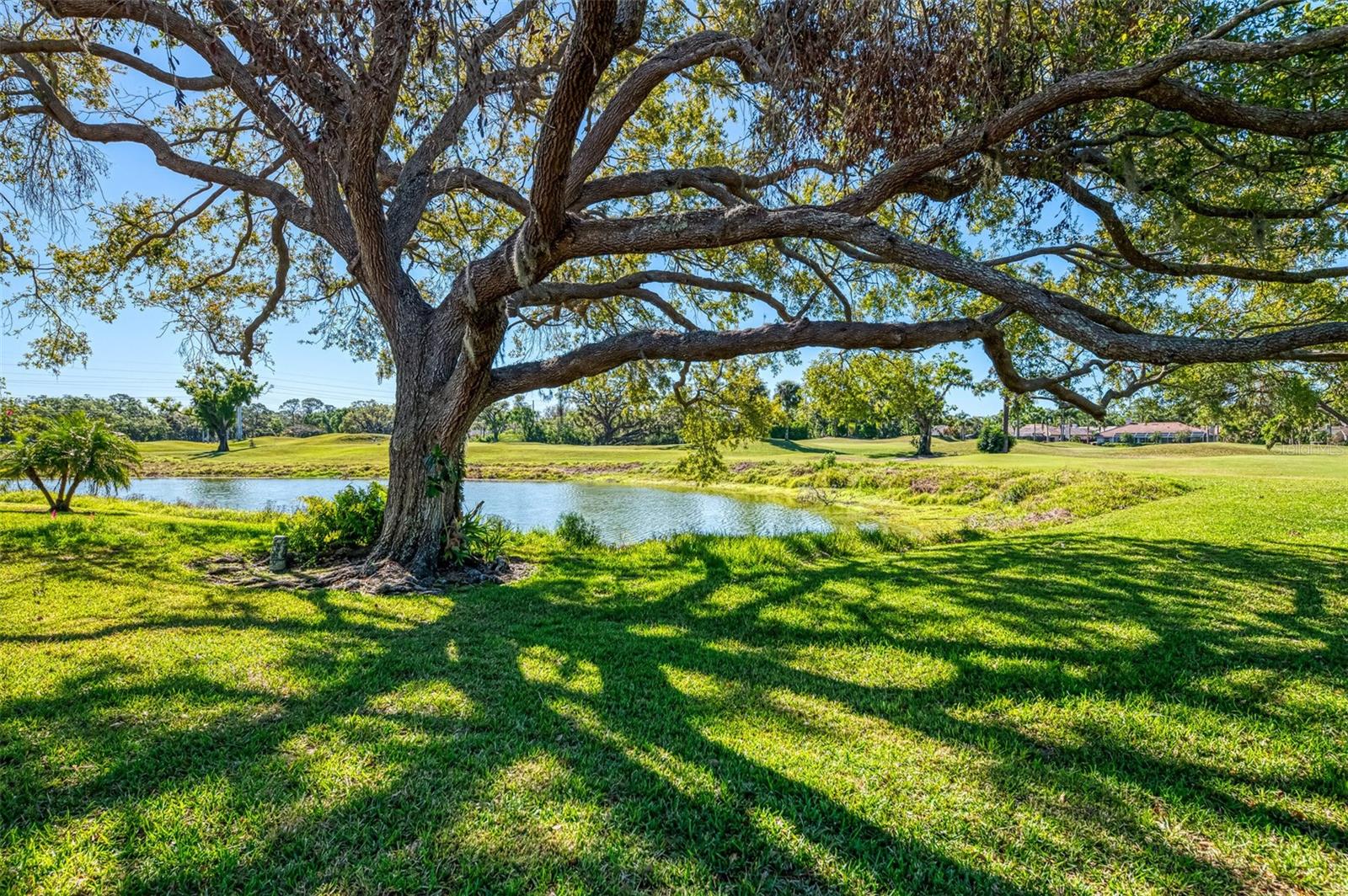 3320 HADFIELD GREENE #39, SARASOTA, FL, 34235