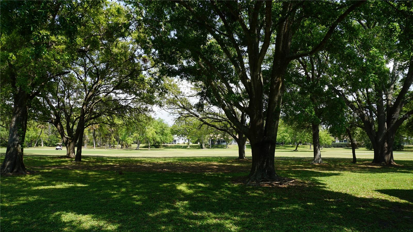 12820 WEDGEWOOD WAY #D, HUDSON, FL, 34667