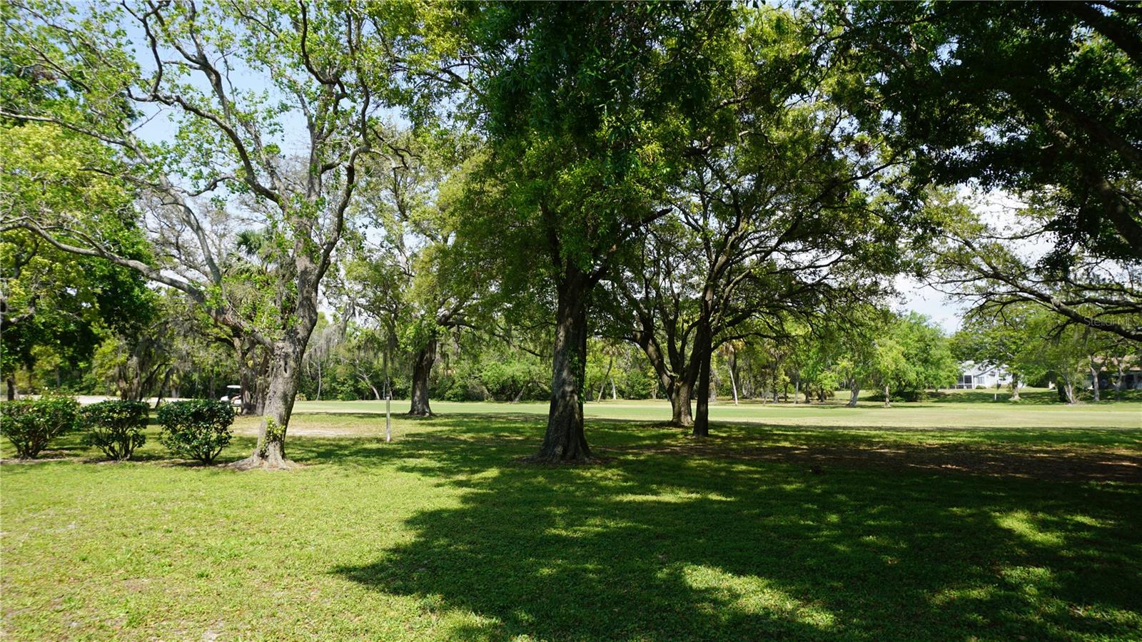 12820 WEDGEWOOD WAY #D, HUDSON, FL, 34667