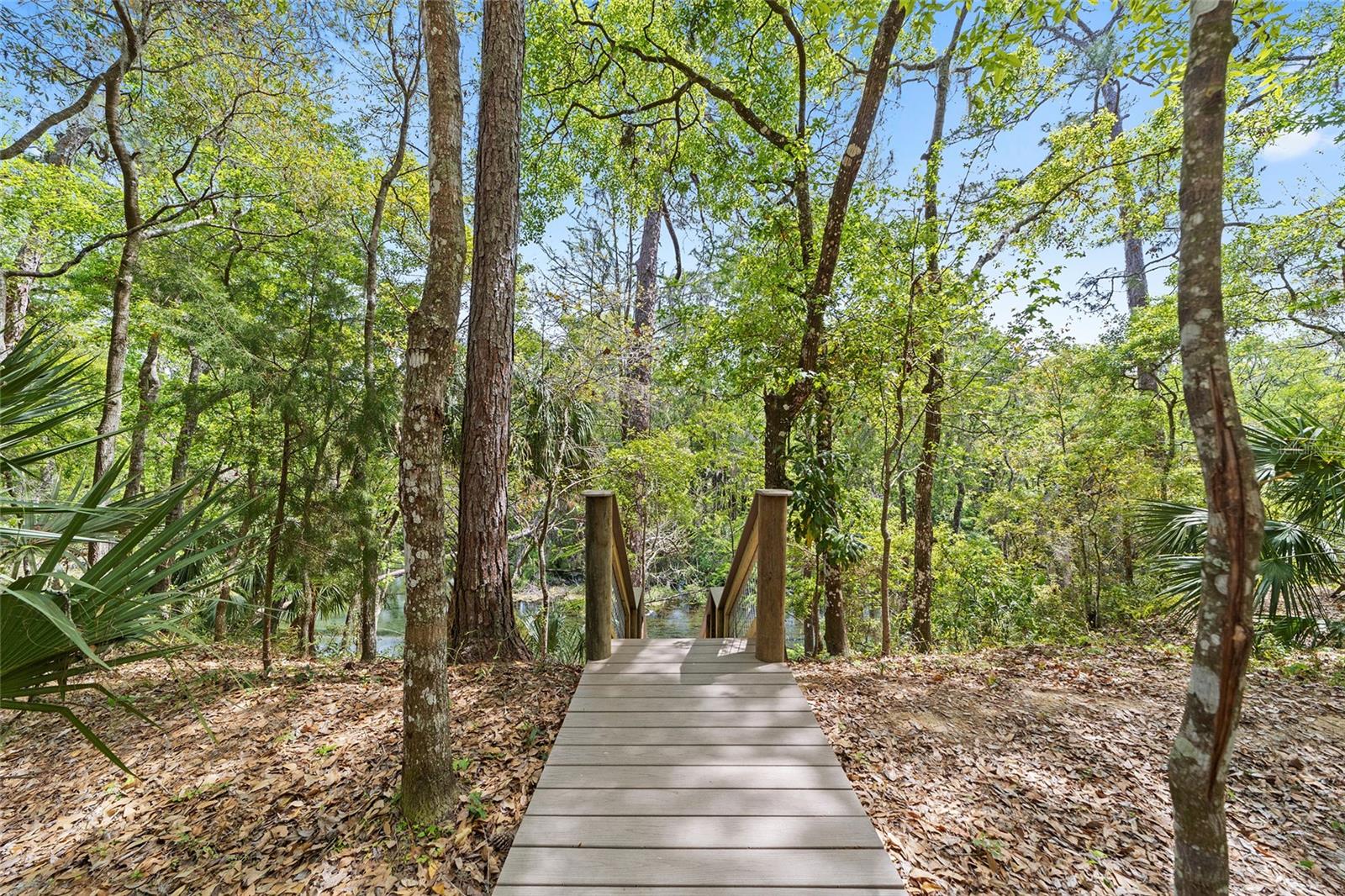 10894 SW 185TH TER, DUNNELLON, FL, 34432