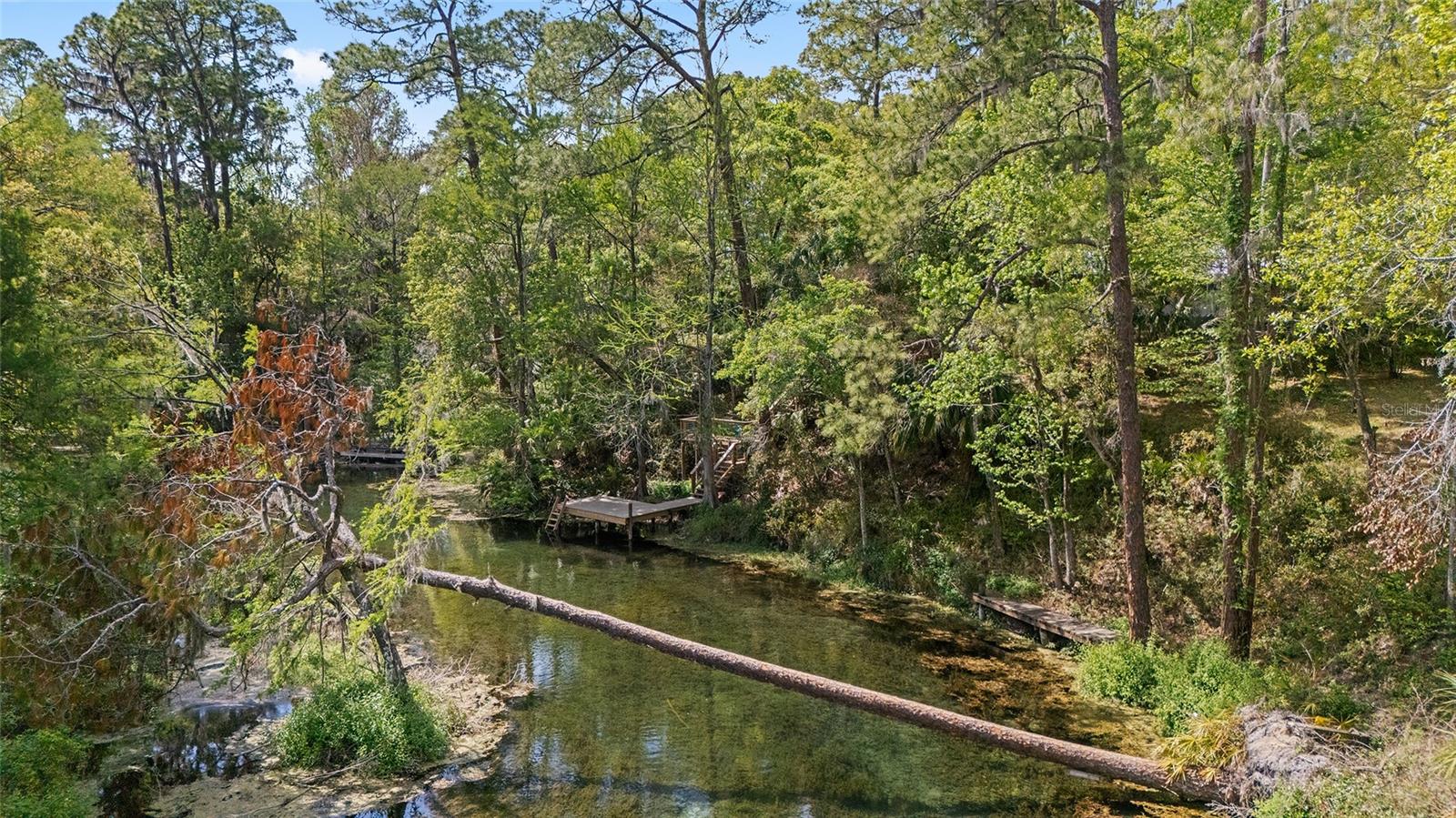 10894 SW 185TH TER, DUNNELLON, FL, 34432