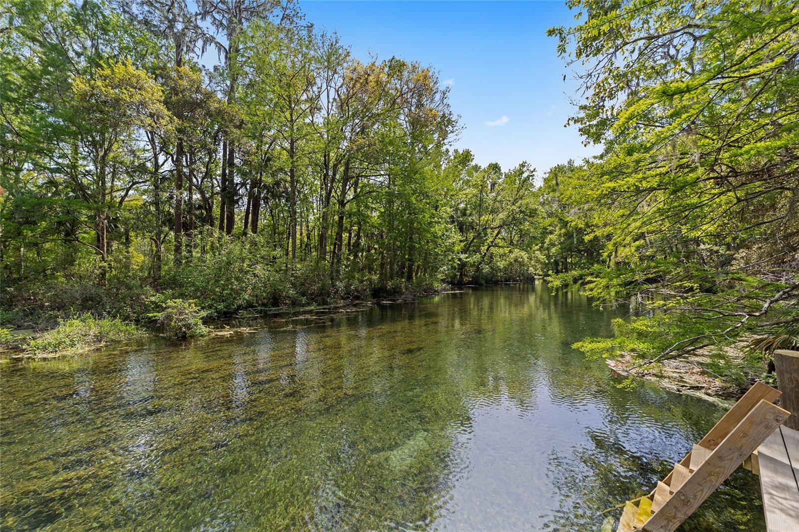 10894 SW 185TH TER, DUNNELLON, FL, 34432