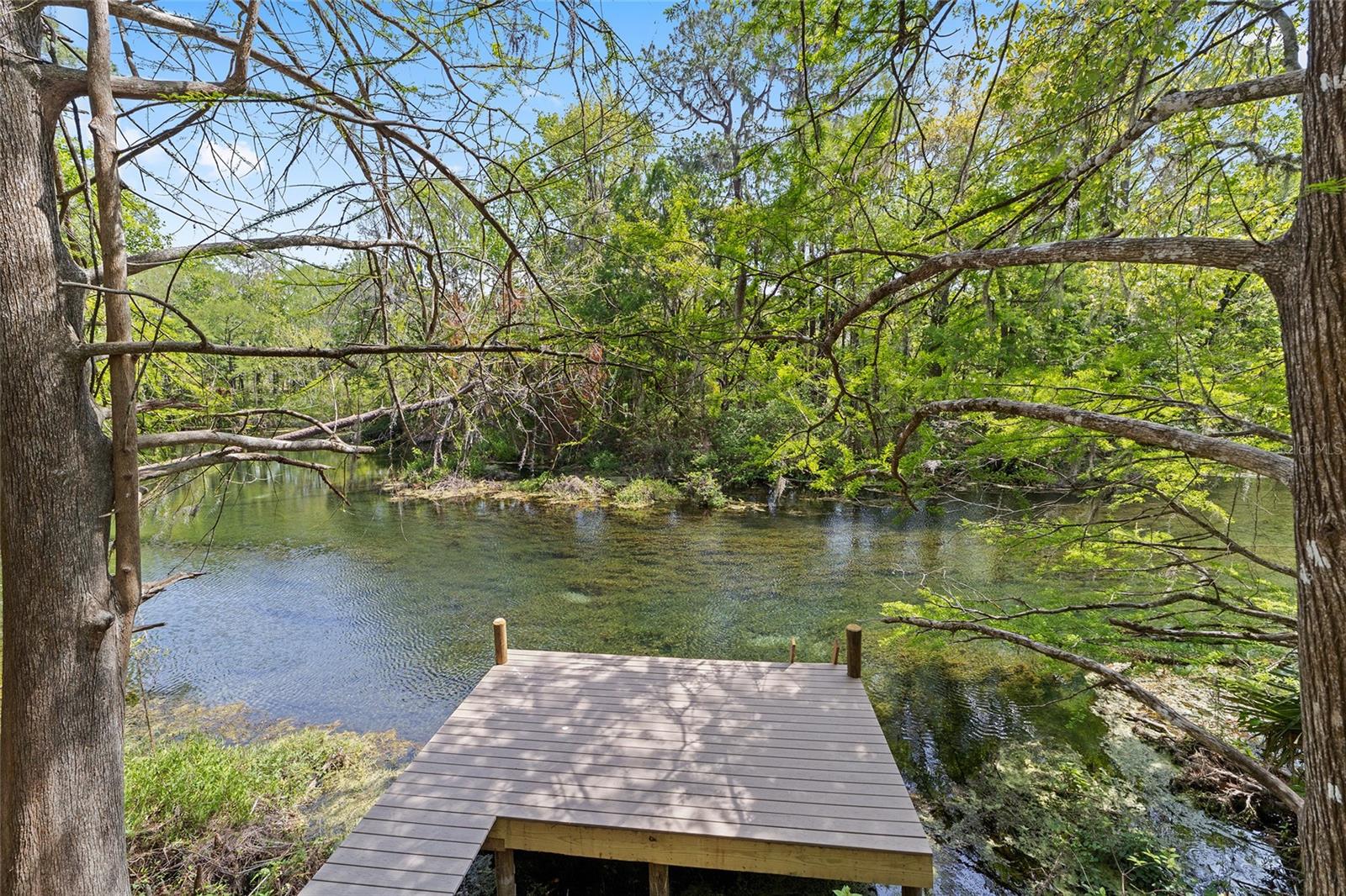 10894 SW 185TH TER, DUNNELLON, FL, 34432