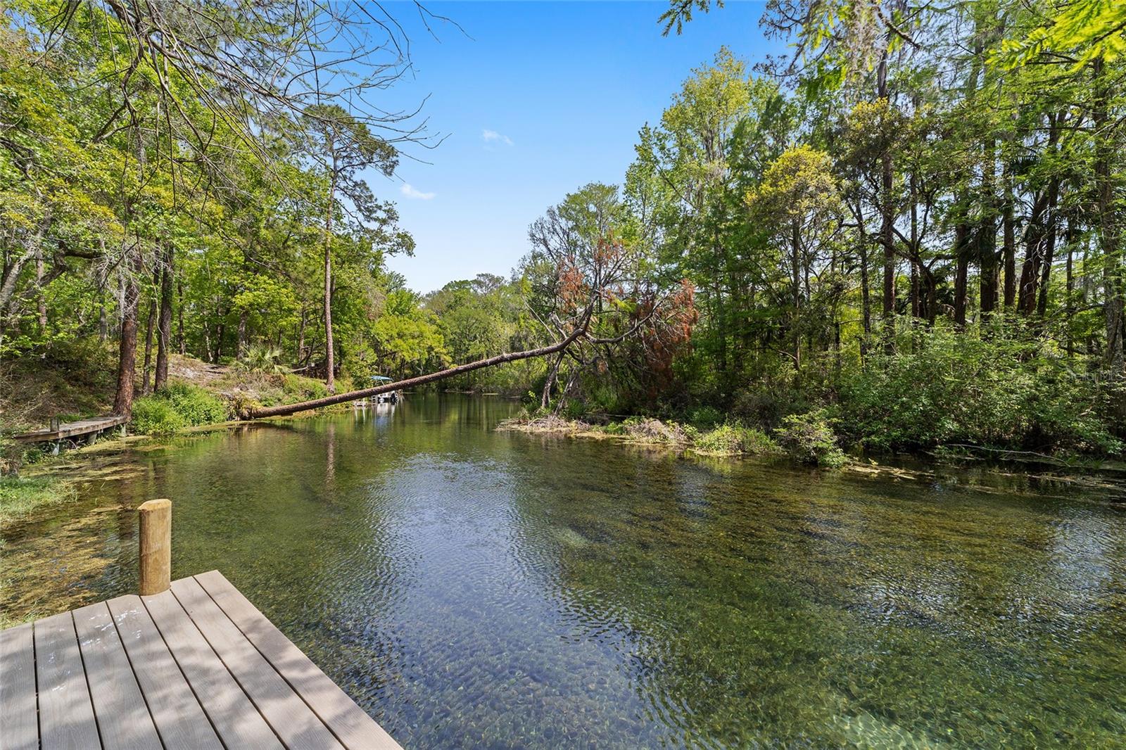 10894 SW 185TH TER, DUNNELLON, FL, 34432