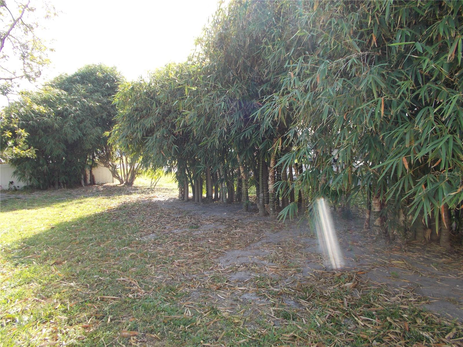 259 DURIAN RD, VENICE, FL, 34293