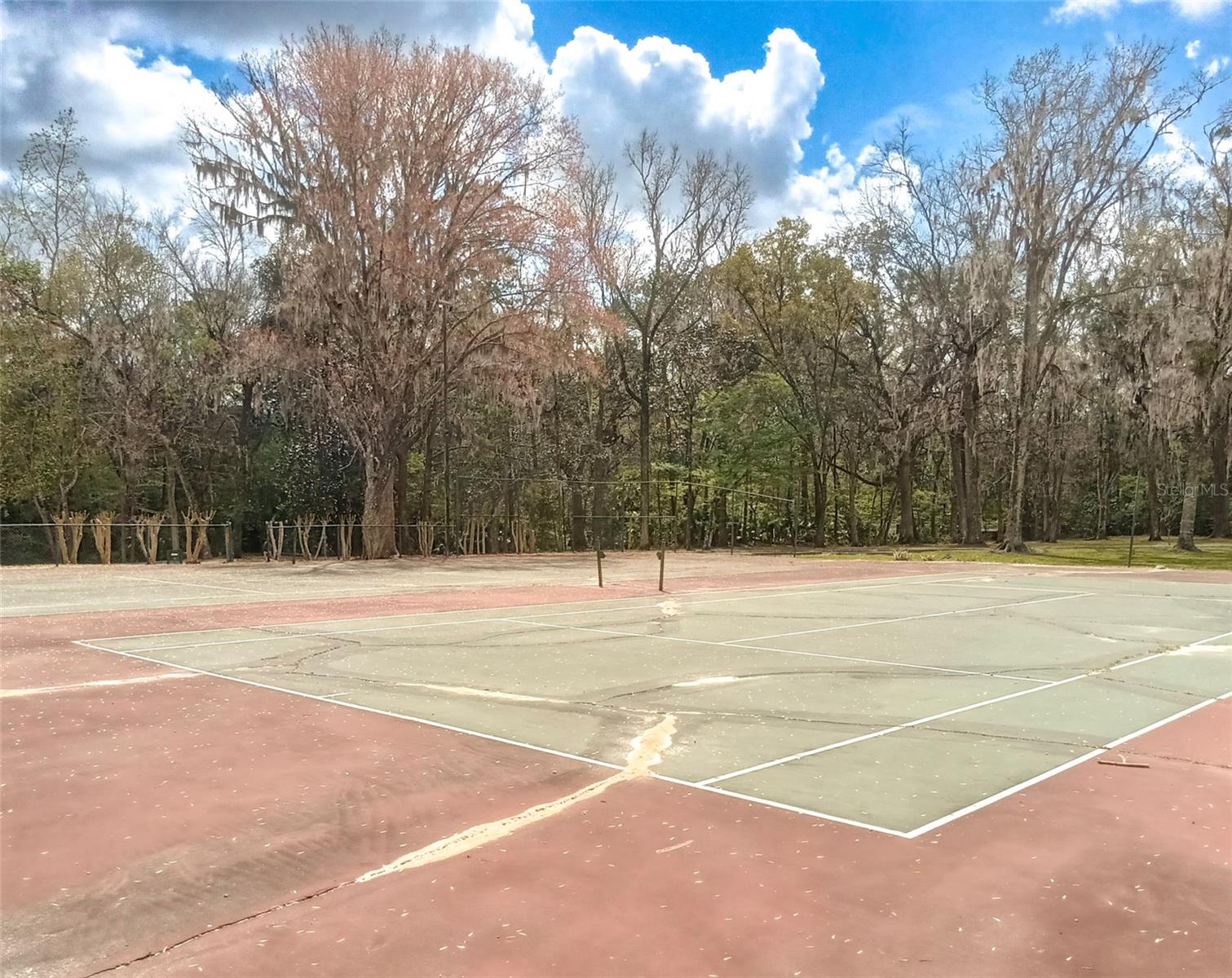 1810 NW 23RD BLVD #165, GAINESVILLE, FL, 32605