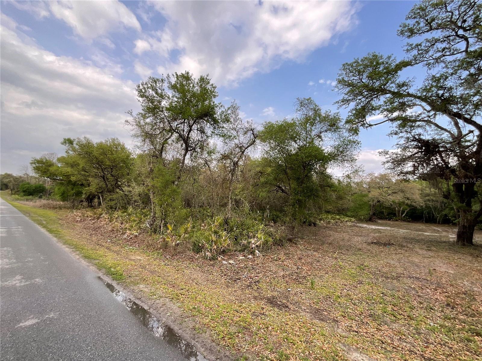 8230 SHASTA ST, WEBSTER, FL, 33597