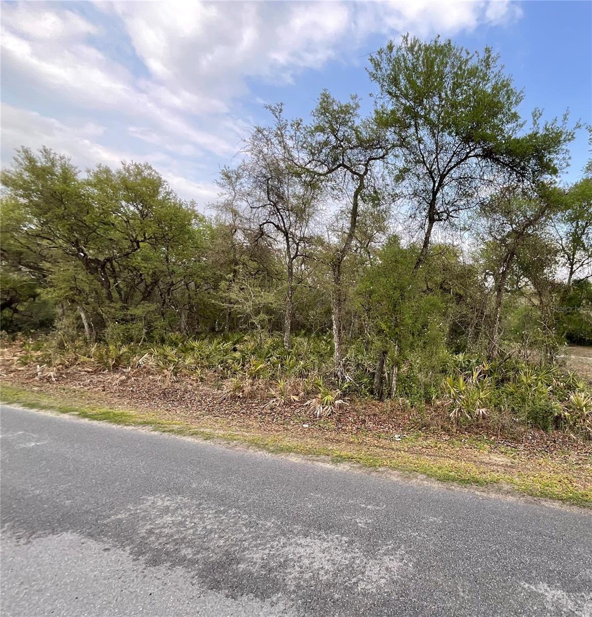 8230 SHASTA ST, WEBSTER, FL, 33597