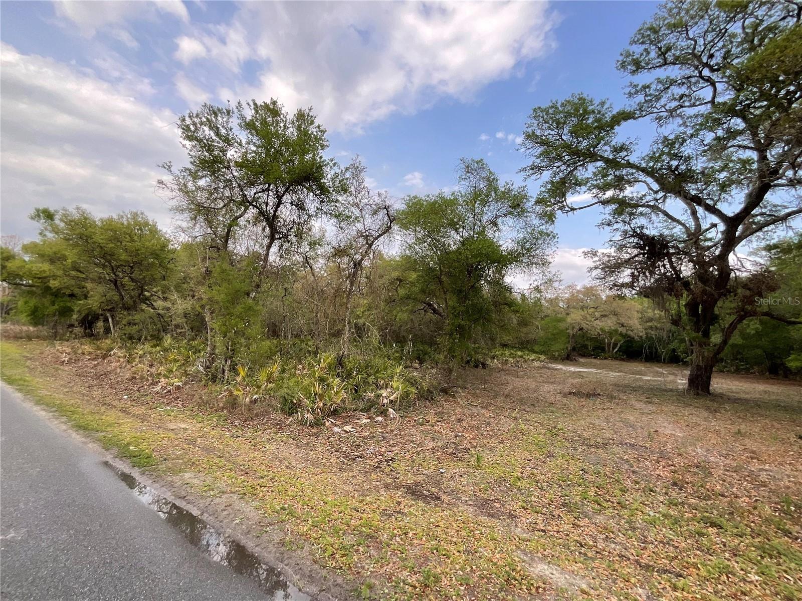 8230 SHASTA ST, WEBSTER, FL, 33597