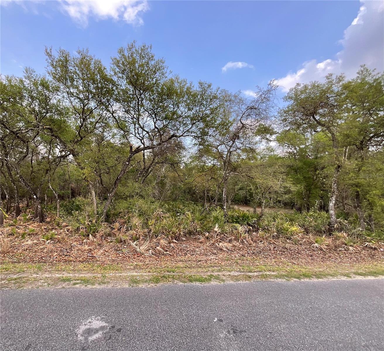 8230 SHASTA ST, WEBSTER, FL, 33597