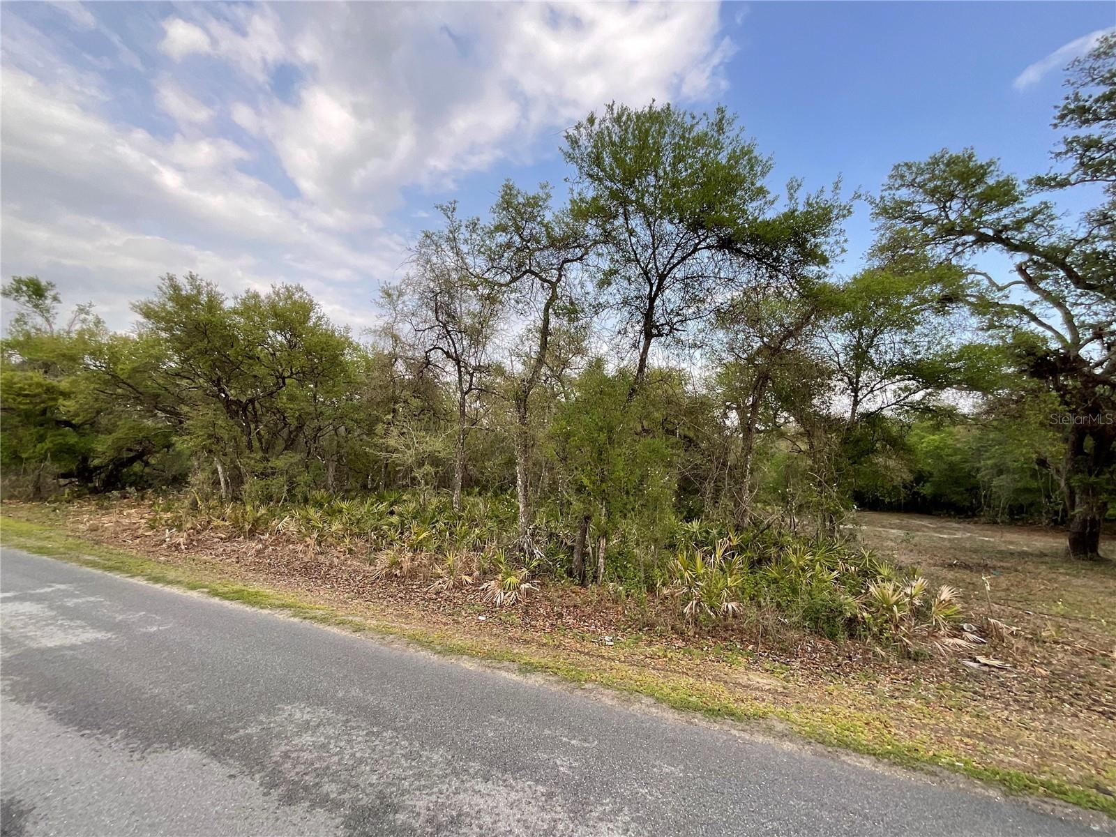 8230 SHASTA ST, WEBSTER, FL, 33597