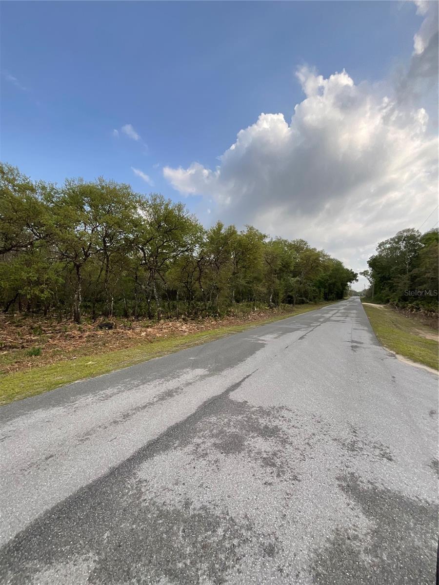8230 SHASTA ST, WEBSTER, FL, 33597