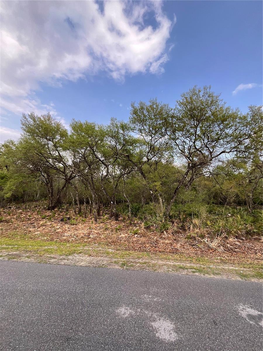 8230 SHASTA ST, WEBSTER, FL, 33597