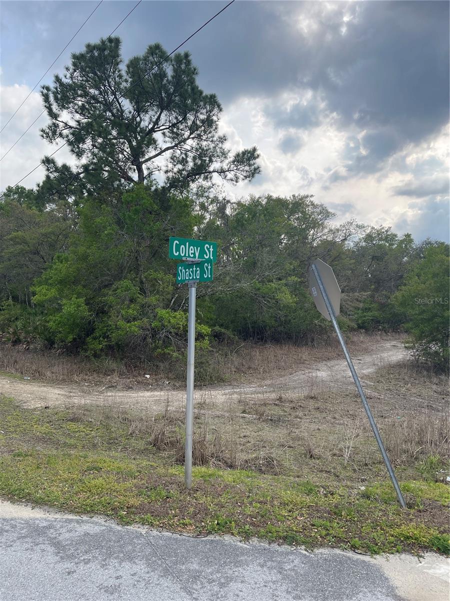 8230 SHASTA ST, WEBSTER, FL, 33597