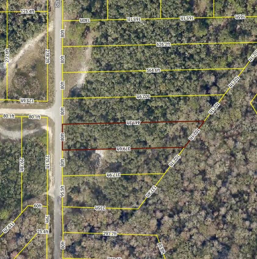 8230 SHASTA ST, WEBSTER, FL, 33597