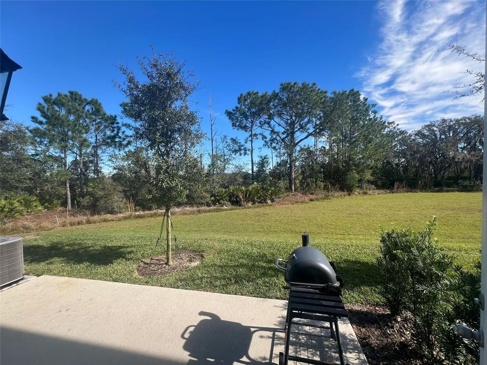 1545 DISCOVERY ST, DAVENPORT, FL, 33896