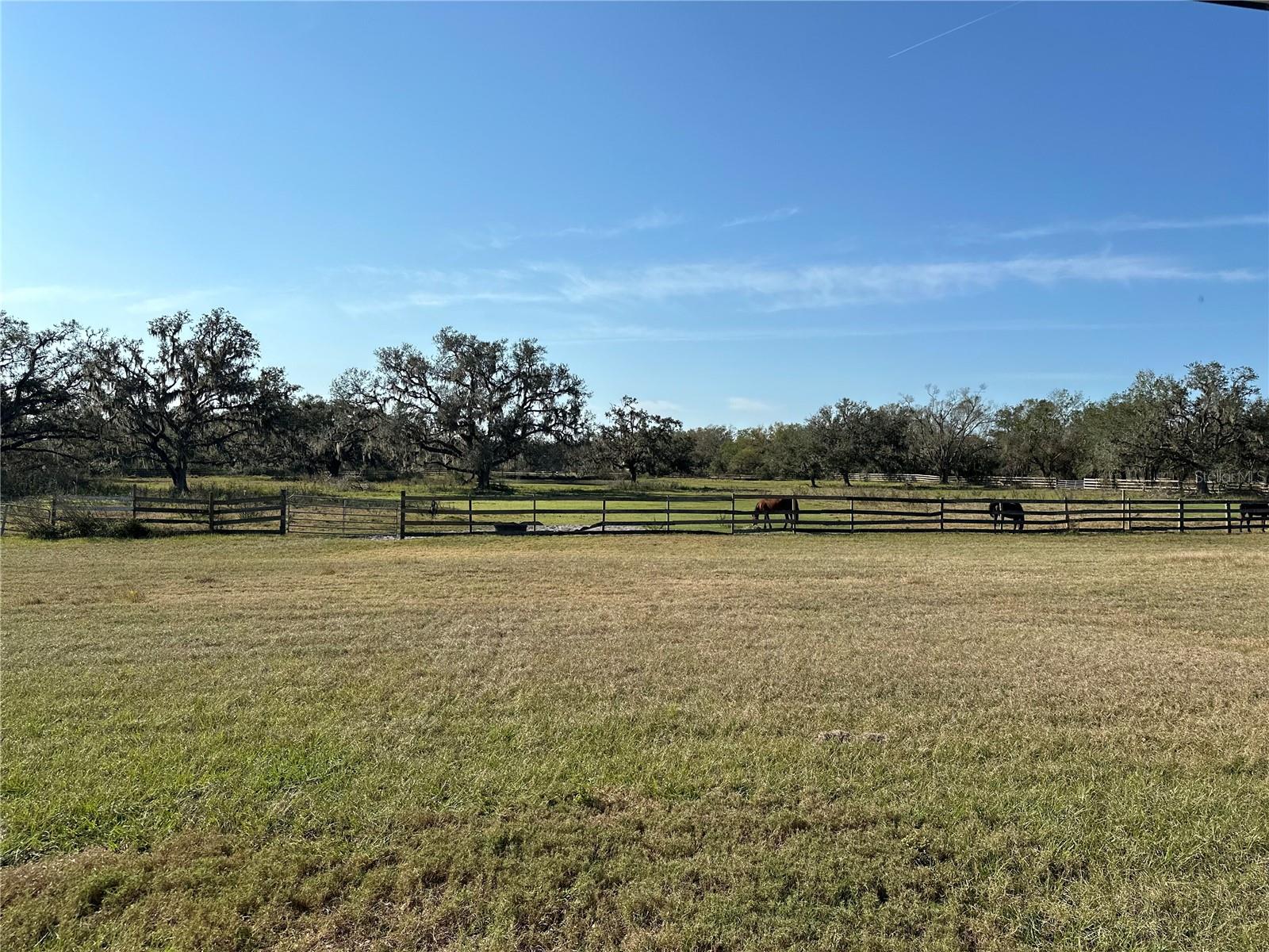 721 SPRINGBROOK FARM RD, SARASOTA, FL, 34240