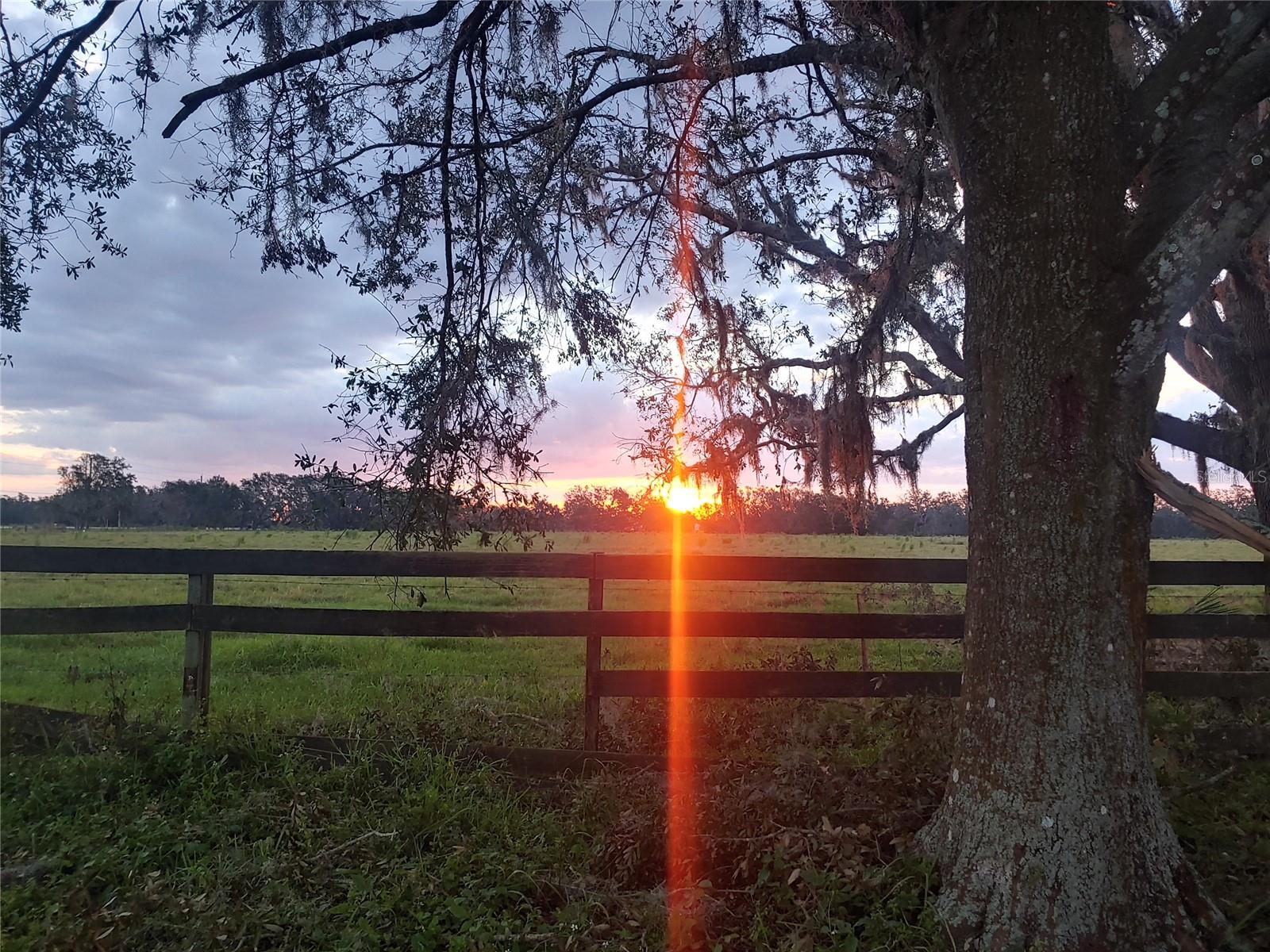 721 SPRINGBROOK FARM RD, SARASOTA, FL, 34240