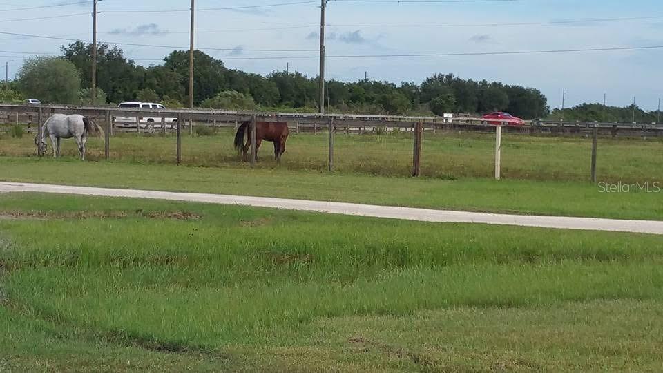 721 SPRINGBROOK FARM RD, SARASOTA, FL, 34240