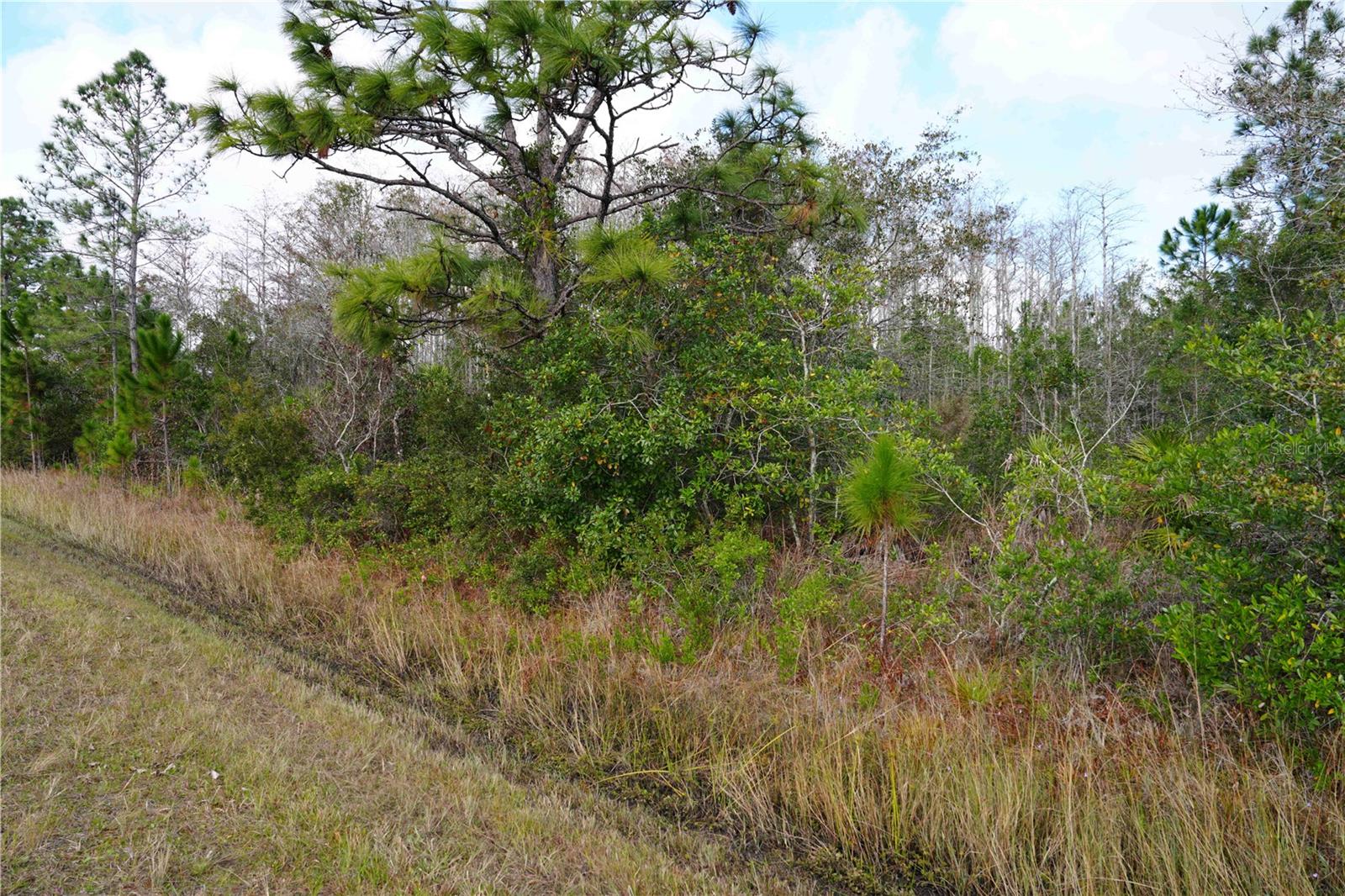 OBERLY PKWY, ORLANDO, FL, 32833