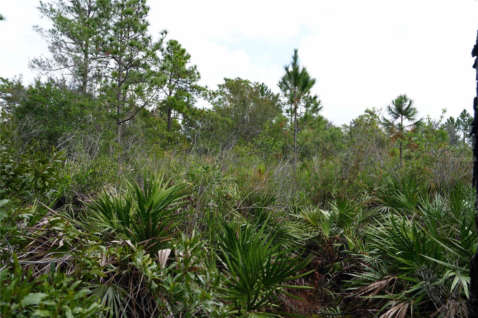 OBERLY PKWY, ORLANDO, FL, 32833