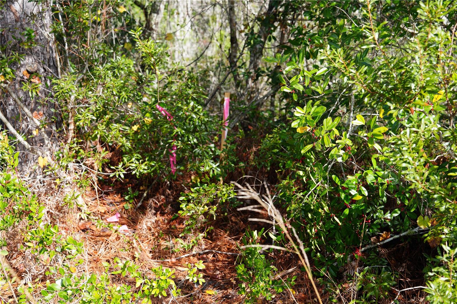 OBERLY PKWY, ORLANDO, FL, 32833